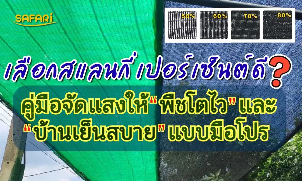 เลือกสแลนกี่เปอร์เซ็นต์ดี