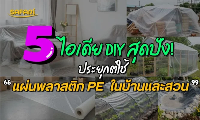 แผ่นพลาสติก PE