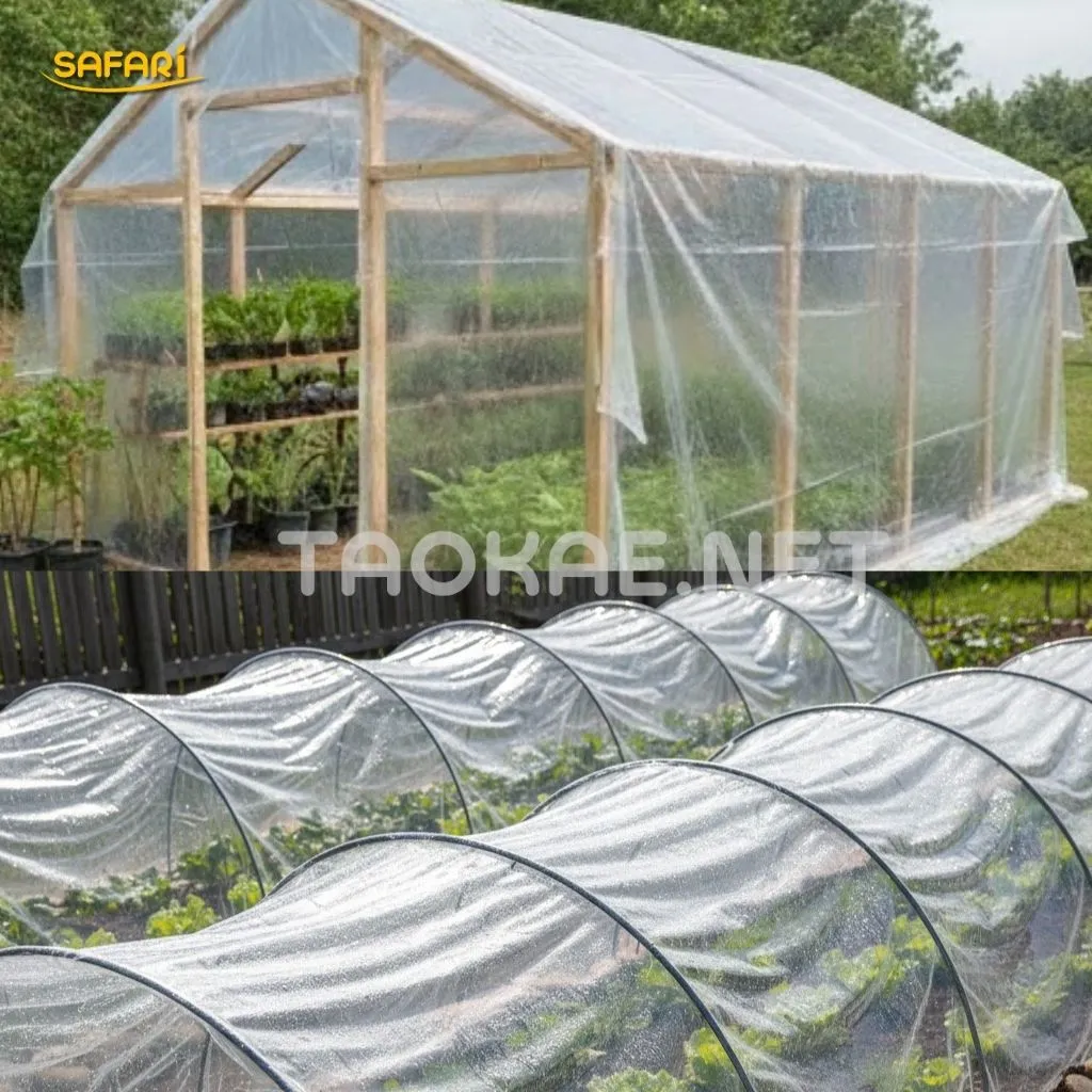 แผ่นพลาสติก PE คลุมแปลผัก