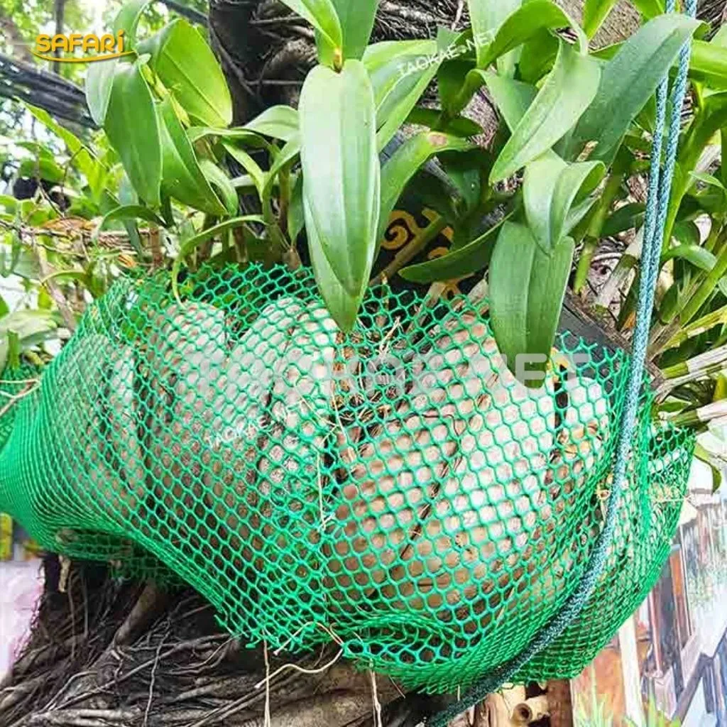 ตาข่ายพลาสติก ใช้ล้อมต้นกล้วยไม้