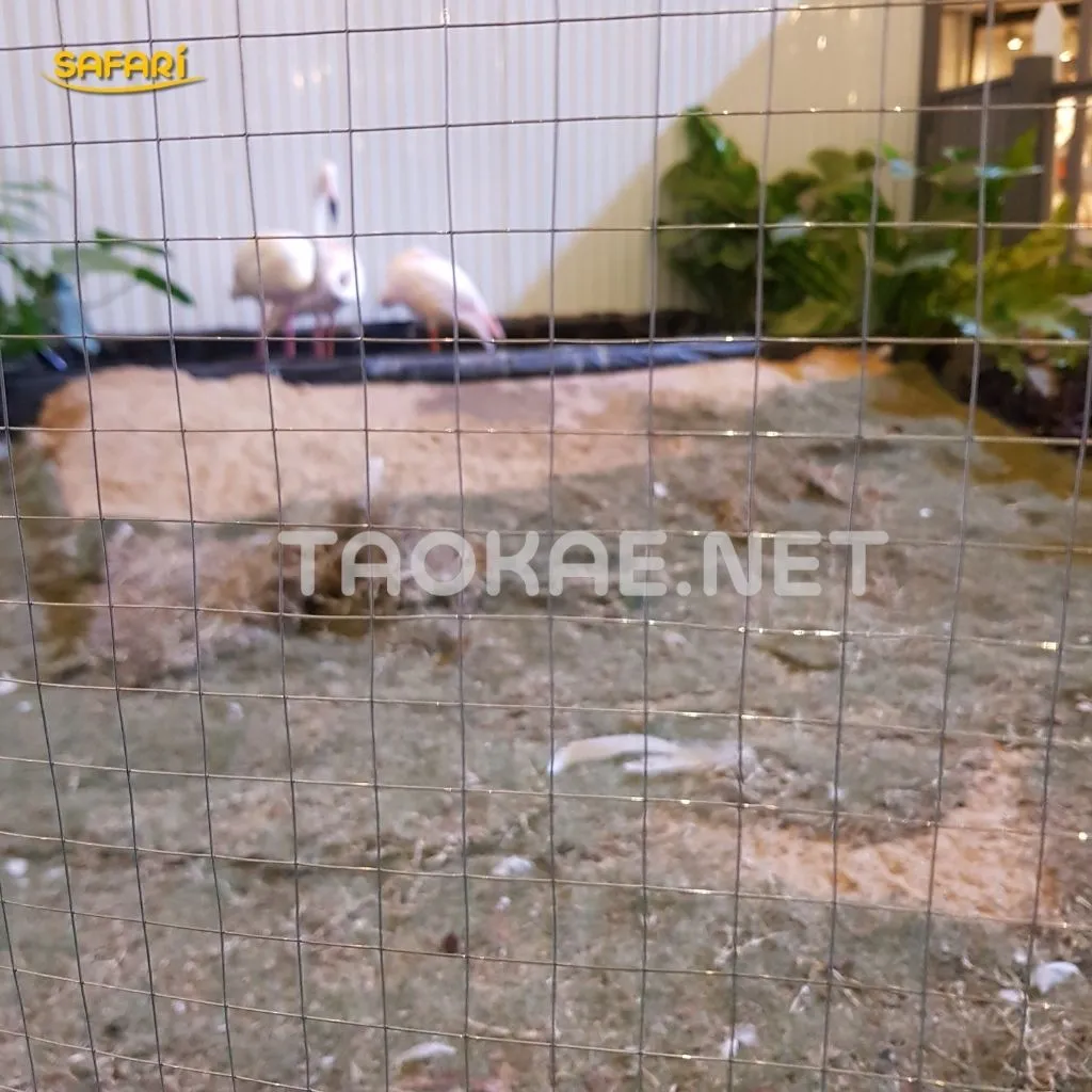 ตาข่ายลวดเหล็กใช้ทำกรงเลี้ยงสัตว์ แข็งแรง โปร่ง มองเห็นภายในชัด