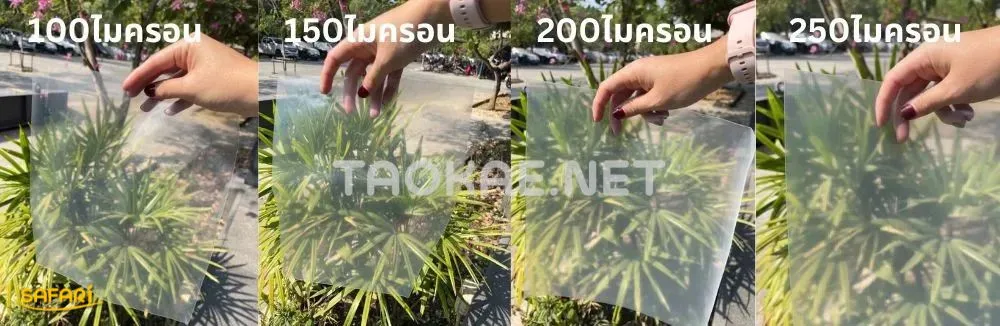 ความหนาพลาสติกโรงเรือน 100-250 ไมครอน