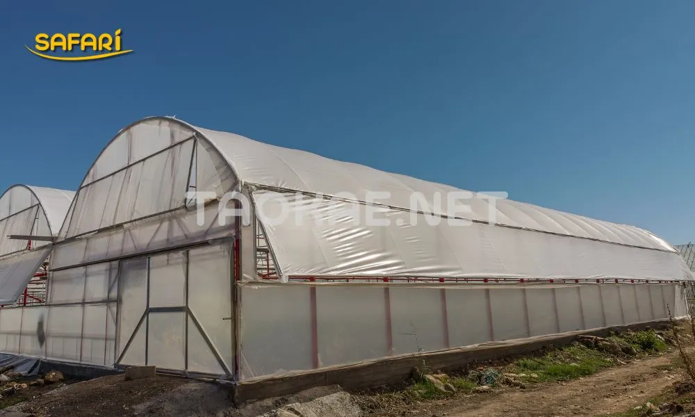 ความหนาพลาสติกโรงเรือน-250ไมครอน