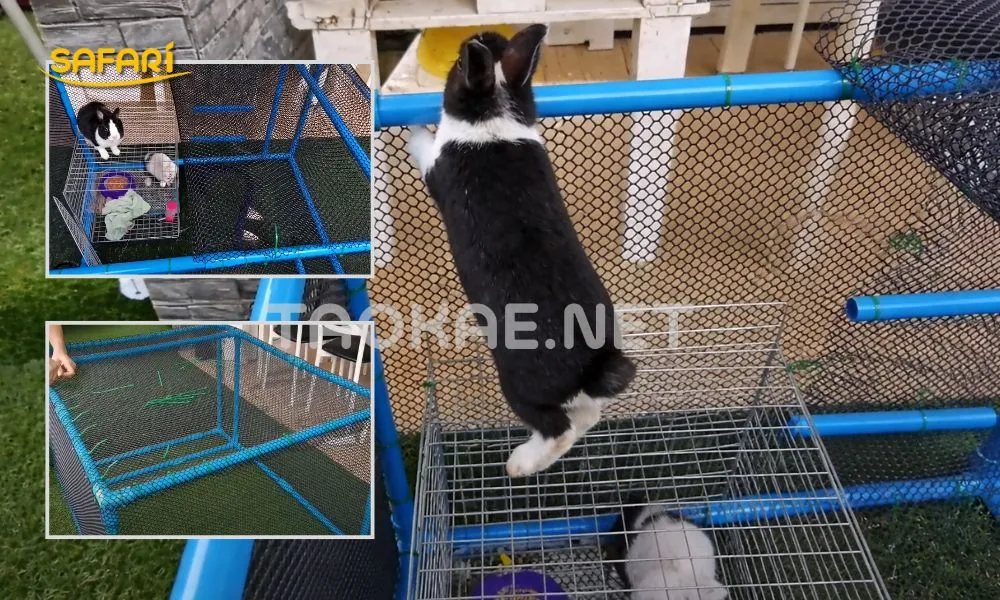 ไอเดียทำกรงกระต่ายและกรงหนูตะเภา (ตา 7-12 มม.)