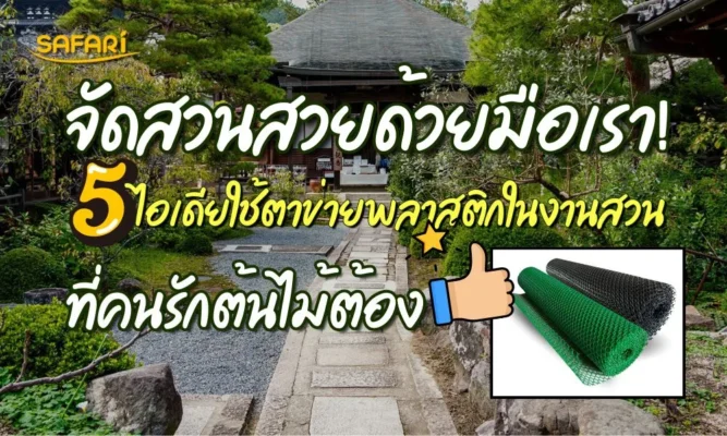 จัดสวนสวยด้วยตาข่ายพลาสติก SAFARI: ไอเดียงานไม้เลื้อย กล้วยไม้ และงานปูหิน