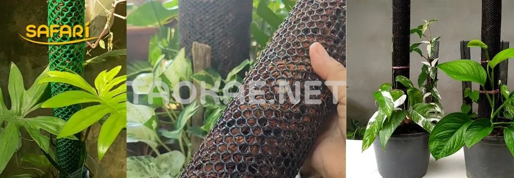 เสาไม้เลื้อย DIY สำหรับไม้ใบและไม้ประดับ (ตา 20-25 มม.)