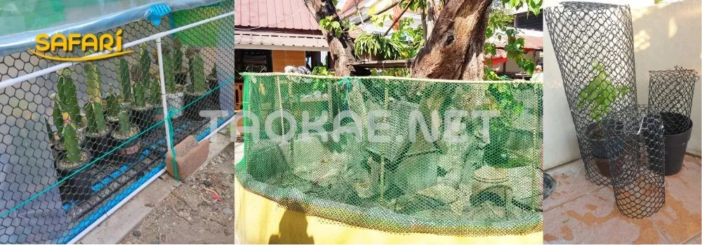 ตาข่ายพลาสติกล้อมรั้วกันสัตว์เลี้ยงบุกรุกแปลงดอกไม้