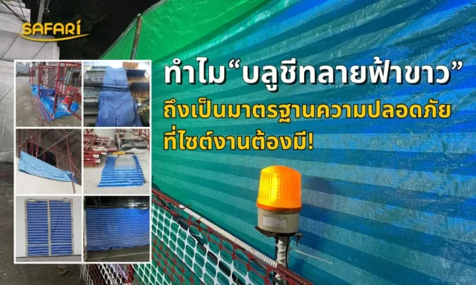 บลูชีทลายฟ้าขาว-งานก่อสร้าง