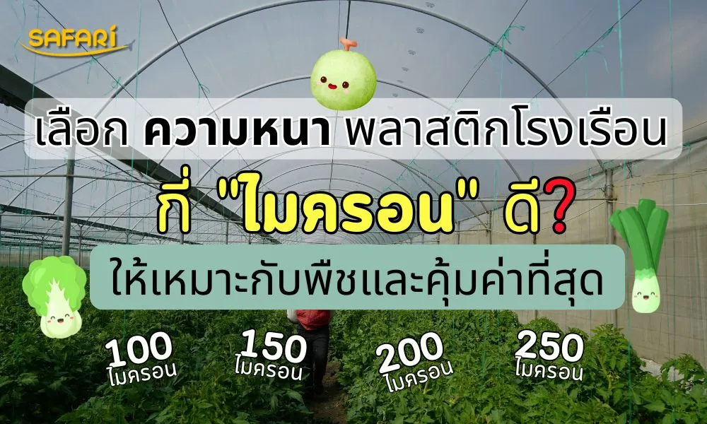 ความหนาพลาสติกโรงเรือน