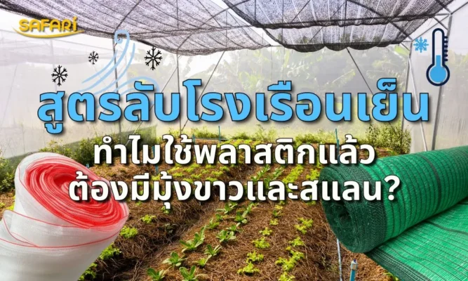 โรงเรือนร้อนแก้ยังไง -ทำไมต้องใช้มุ้งขาวและสแลน
