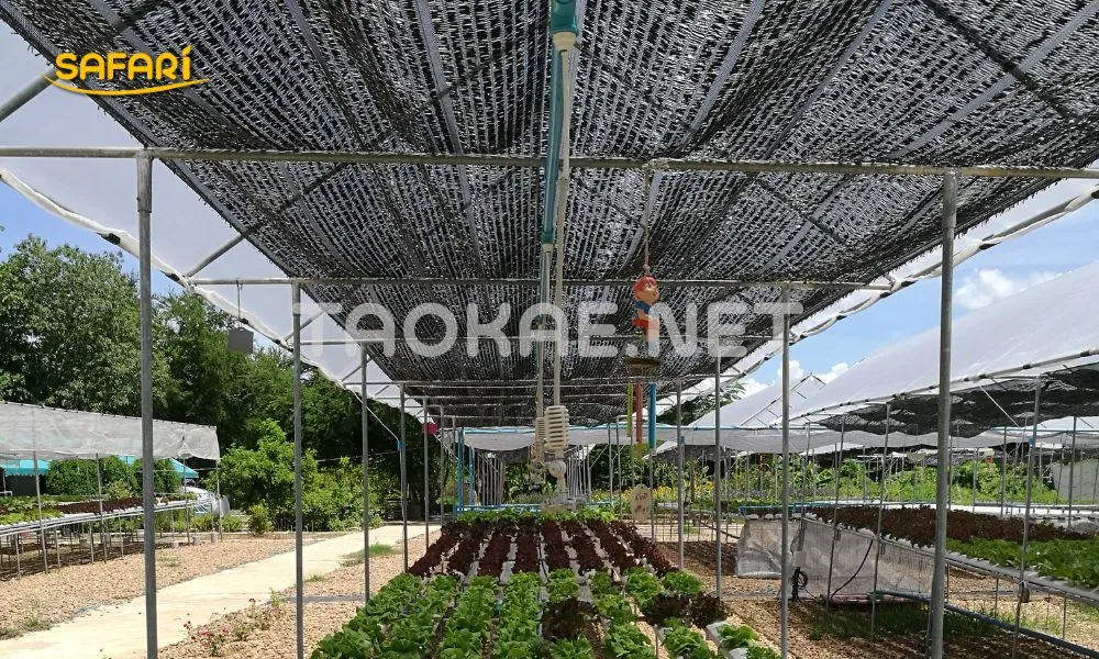 โรงเรือนร้อนแก้ยังไง - สแลนช่วยลดความร้อน