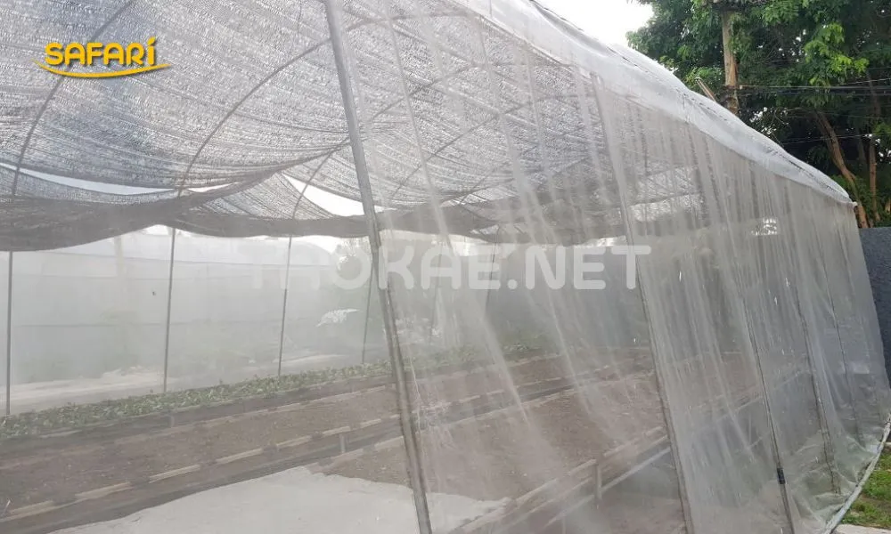 โรงเรือนร้อนแก้ยังไง - มุ้งขาว ช่วยระบายอากาศ
