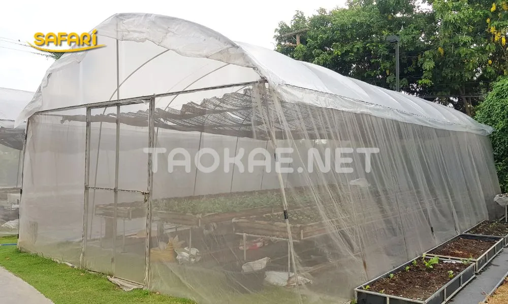 โรงเรือนร้อนแก้ยังไง - กันฝนและป้องกันศัตรูพืชจากฟ้า