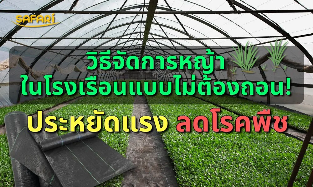 วิธีกำจัดวัชพืชในโรงเรือน