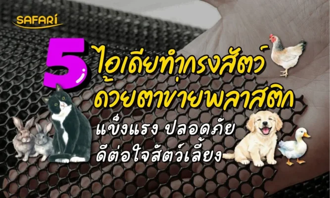 ไอเดียทำกรงสัตว์ด้วยตาข่ายพลาสติก