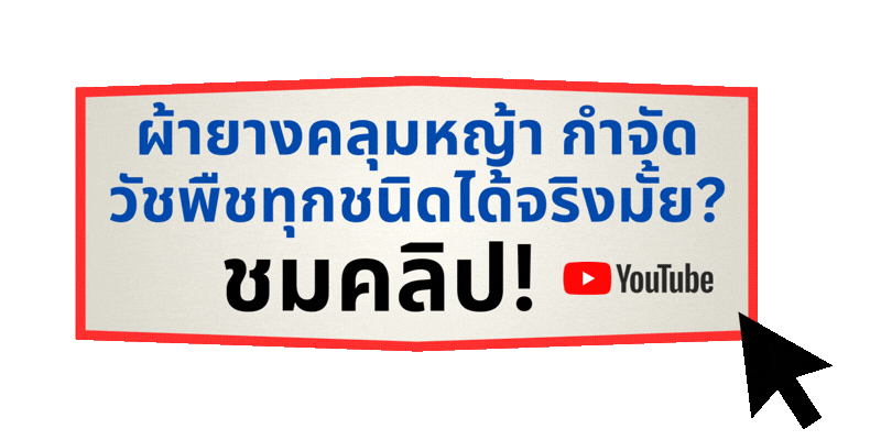 ผ้ายางคลุมหญ้า กำจัดวัชพืชทุกชนิดได้จริงมั้ย