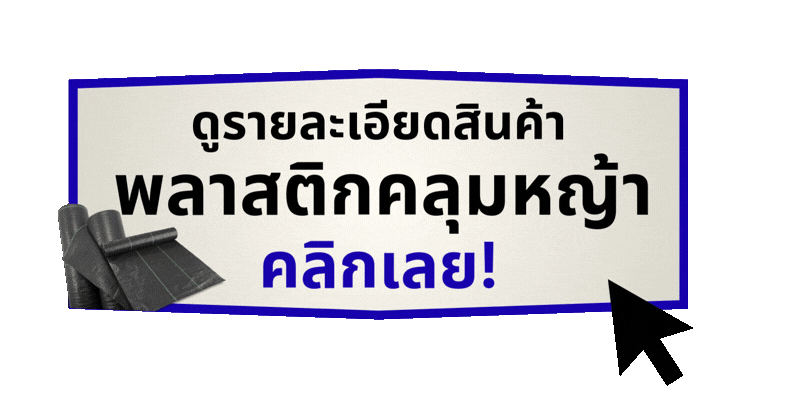 พลาสติกคลุมหญ้า