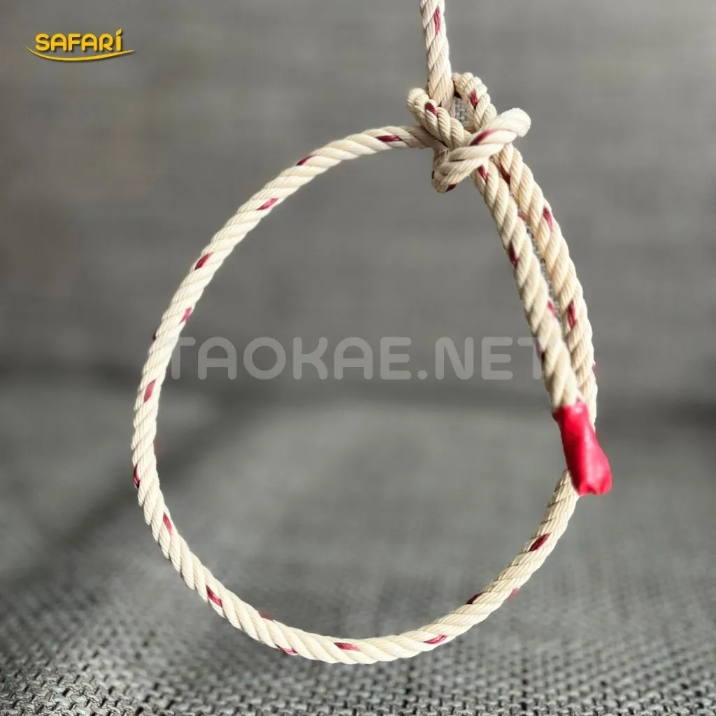 บ่วงสายธนู