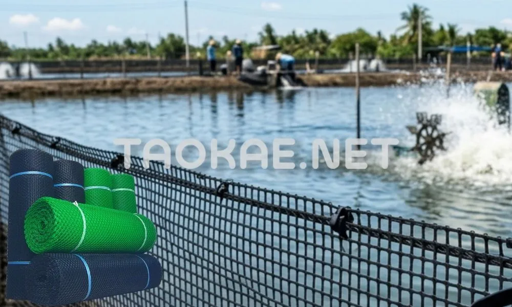 ตาข่ายแข็ง /ตาข่ายพลาสติก