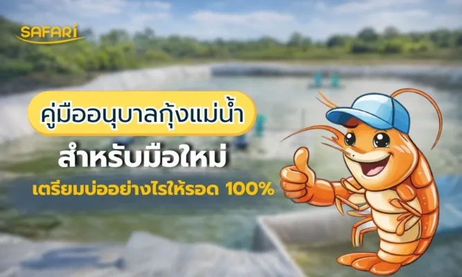 คู่มืออนุบาลกุ้ง