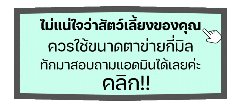 ขนาดตาข่ายเลี้ยงสัตว์