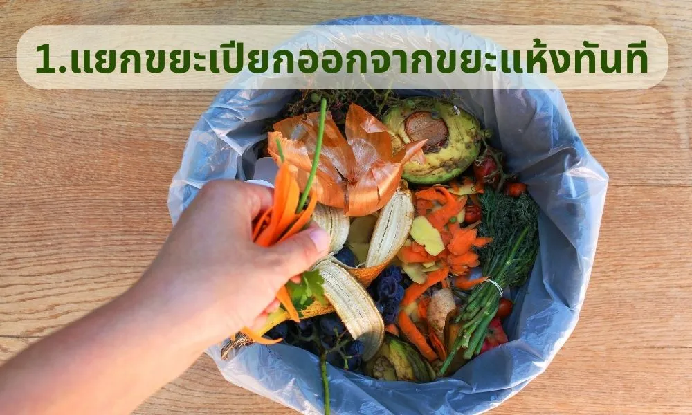 แยกขยะเปียกออกจากขยะแห้งทันที