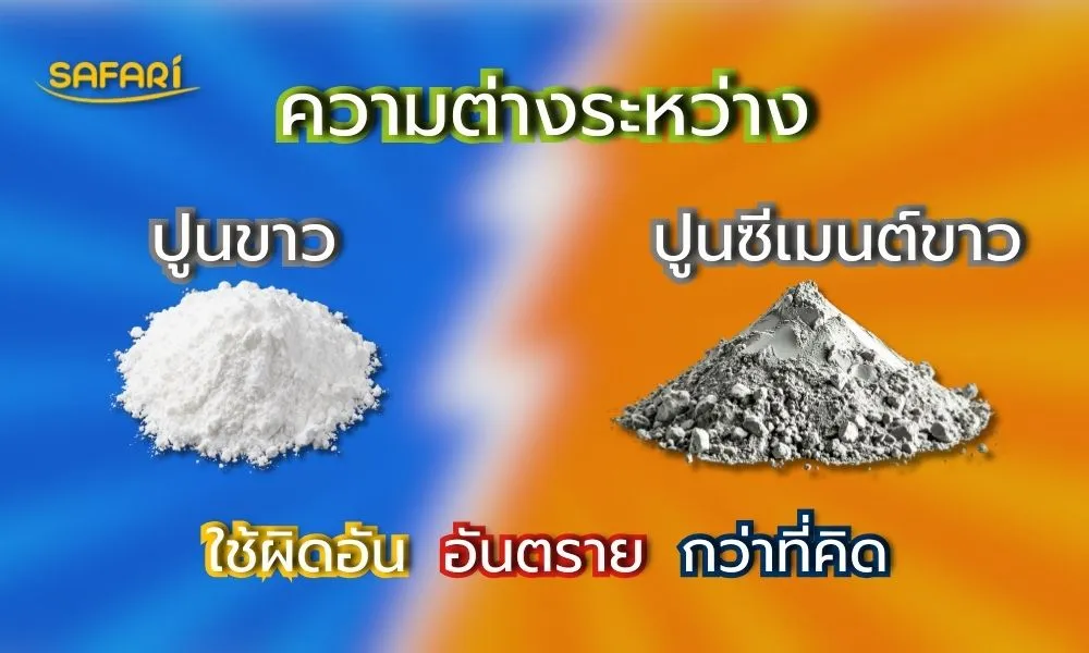 ปูนขาว vs ปูนซีเมนต์ขาว