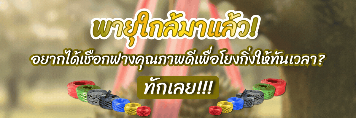 วิธีผูกเชือกทุเรียน