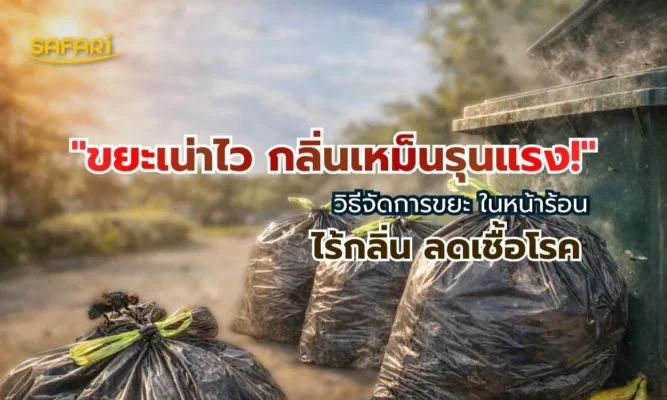 การจัดการขยะ