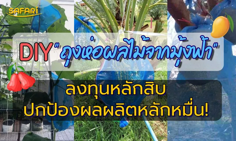 ถุงห่อผลไม้ DIY จากมุ้งไนล่อนฟ้า Safari