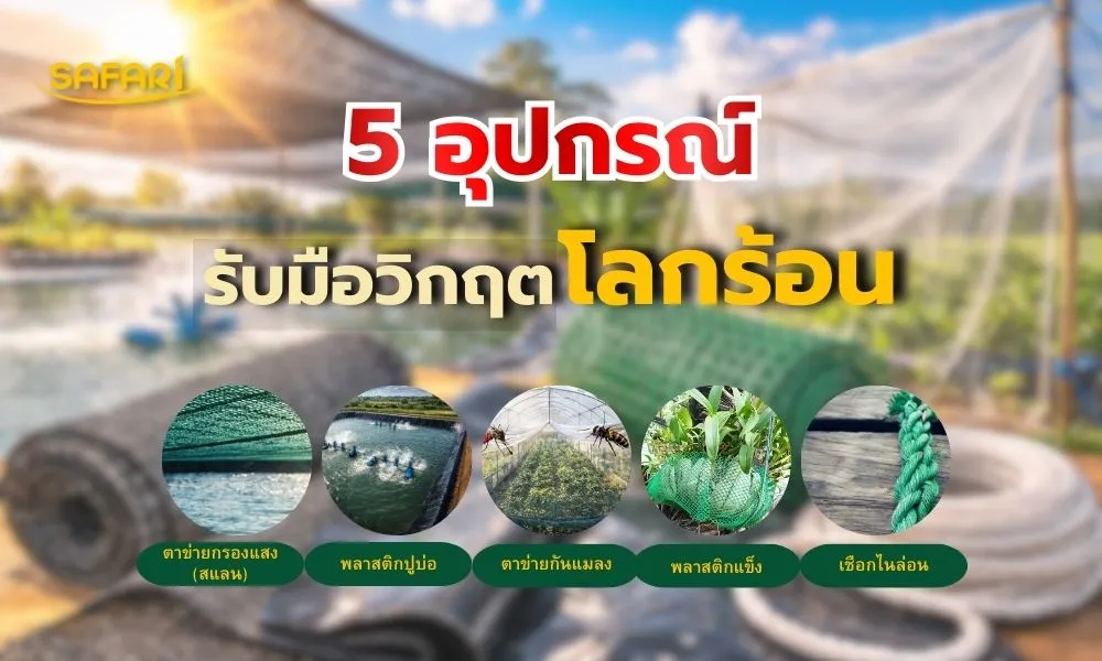 ป้องกันผลผลิต