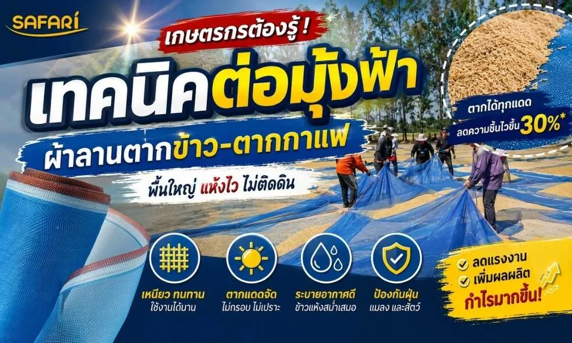 ผ้าลานตากข้าว