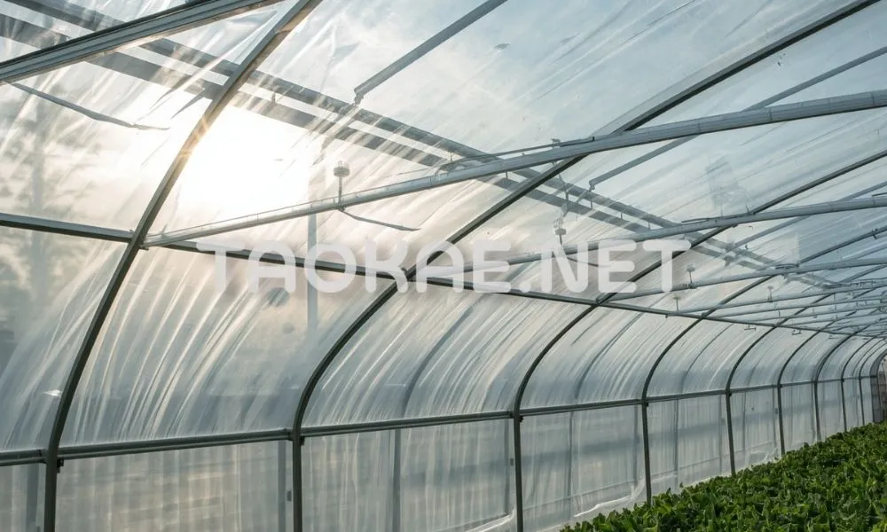 พลาสติกปูบ่อ vs พลาสติกโรงเรือน-3