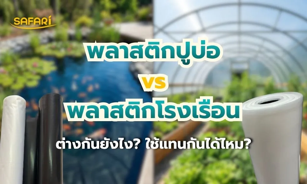 พลาสติกปูบ่อ vs พลาสติกโรงเรือน