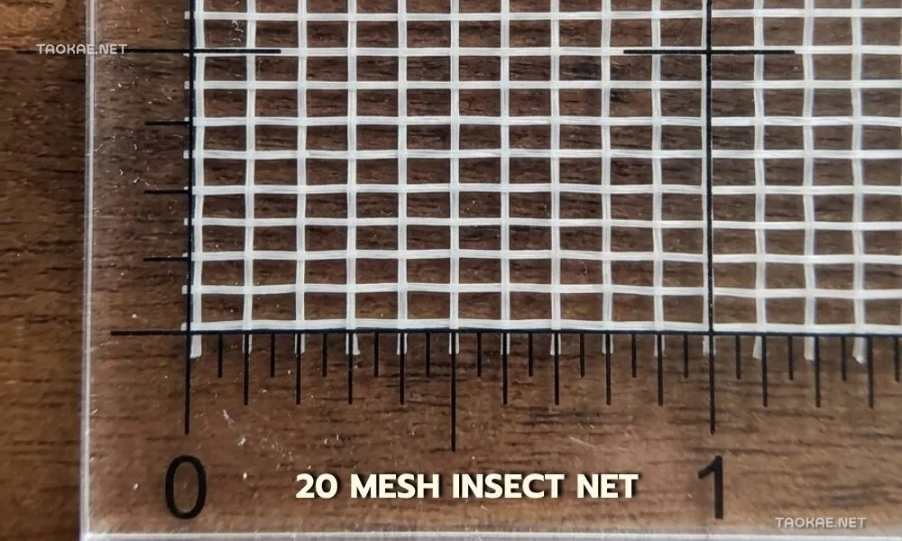 มุ้งขาว20เม็ด-1