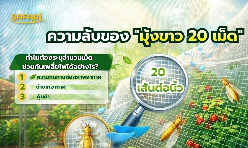 มุ้งขาว 20 เม็ด