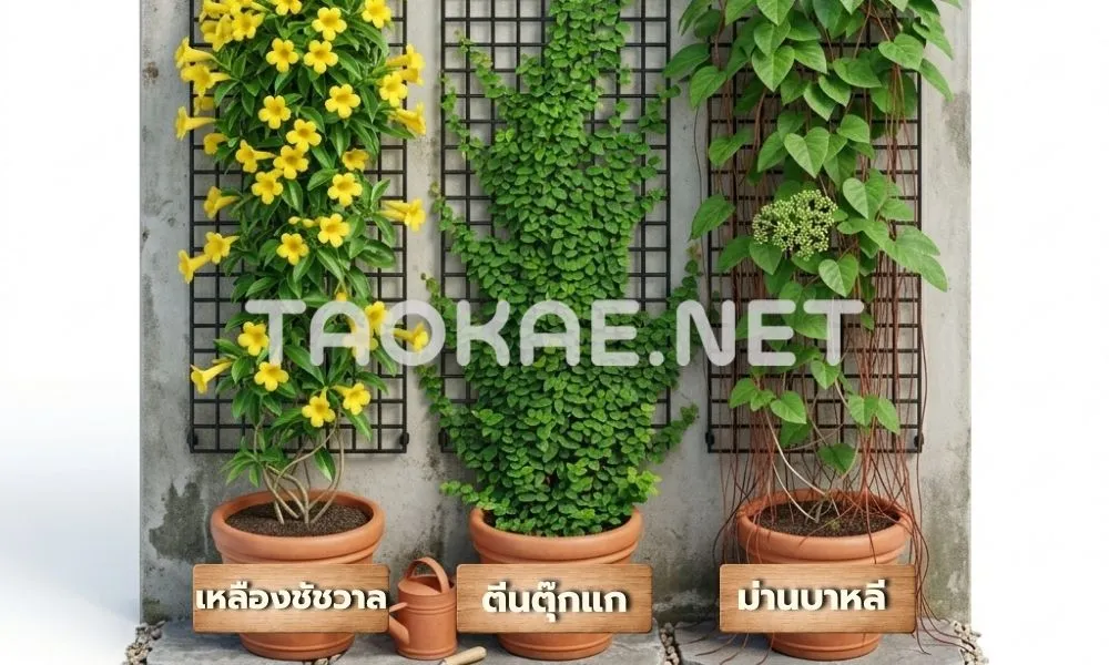 ตาข่ายพลาสติก - รั้วไม้เลื่อย3