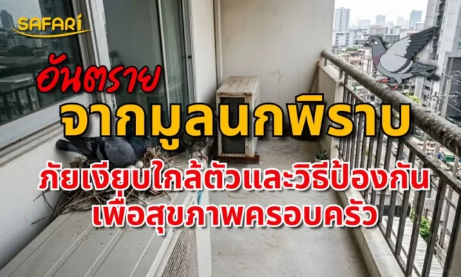 อันตรายจากมูลนกพิราบ