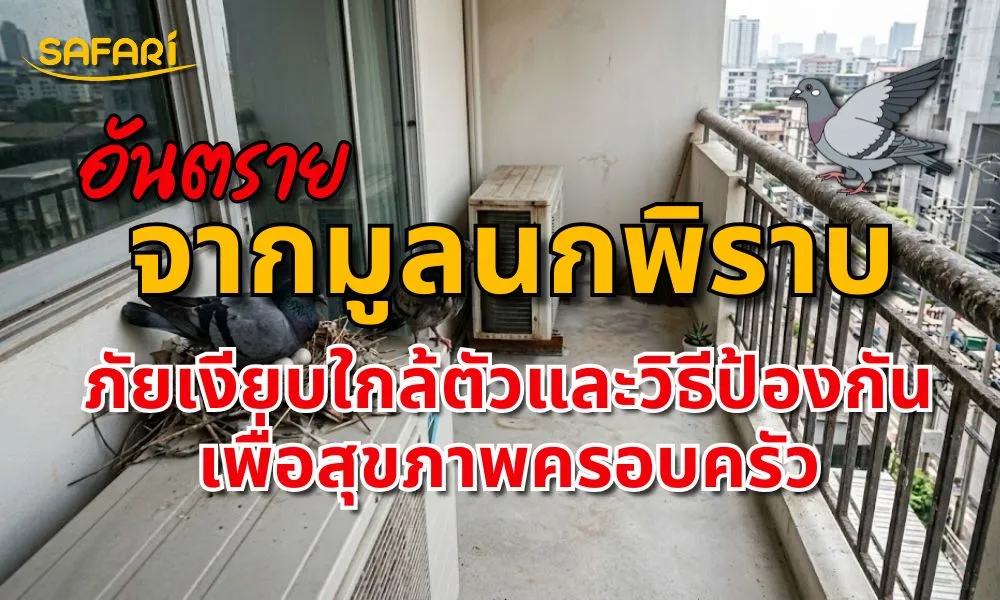 อันตรายจากมูลนกพิราบ