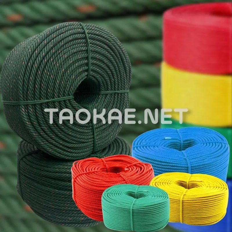 เชือกฟาง vs เชือกไนล่อน