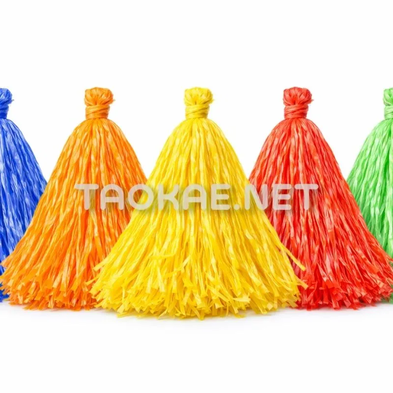 พู่เชียร์กีฬา