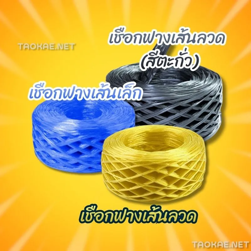 เชือกฟางโยงทุเรียน