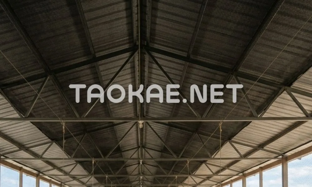 เลี้ยงไก่-5