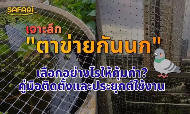 เลือกตาข่ายกันนกแบบไหนดี