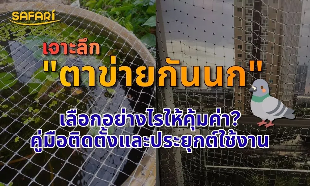 เลือกตาข่ายกันนกแบบไหนดี