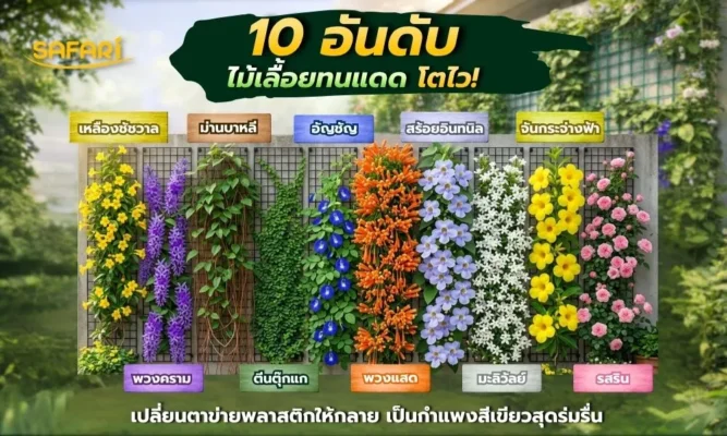 ไม้เลื่อยทนแดด