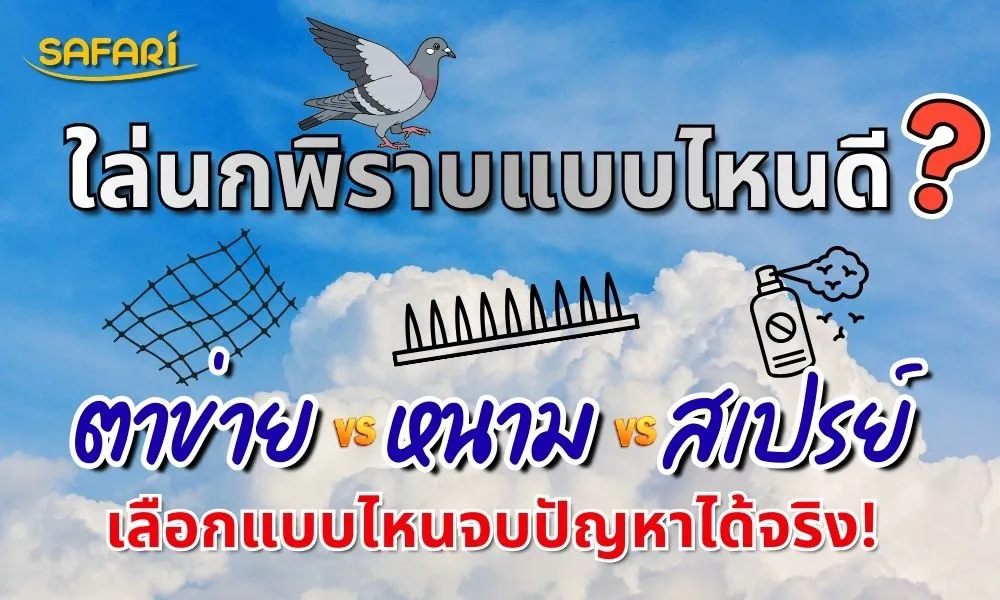 ไล่นกพิราบแบบไหนดี