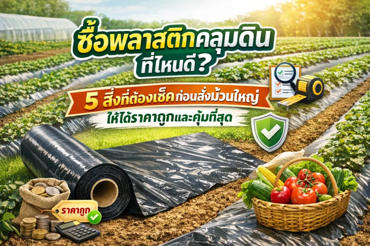ซื้อพลาสติกคลุมดินที่ไหน - หน้าปก