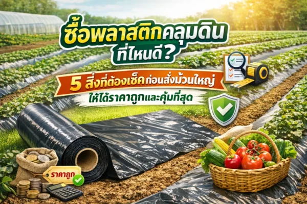 ซื้อพลาสติกคลุมดินที่ไหน - หน้าปก