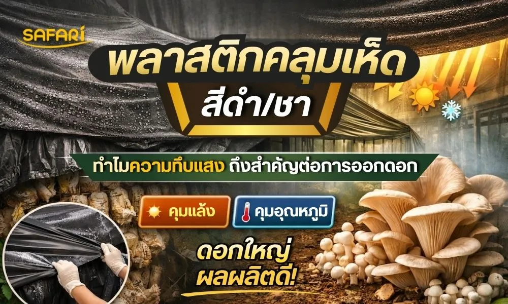 พลาสติกคลุมเห็ด สีดำ/ขาวขุ่น